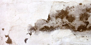 Lire la suite à propos de l’article Humidité murs maison ancienne