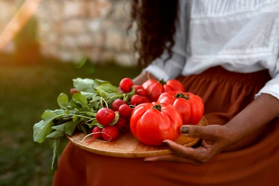 Variété de tomates