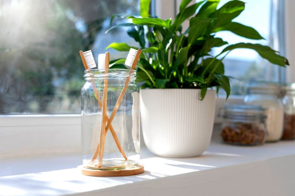 Aspidistra dans la salle de bain