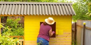 Lire la suite à propos de l’article Aménager un abri de jardin : conseils pour un espace fonctionnel